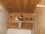 Bild 3 von 4